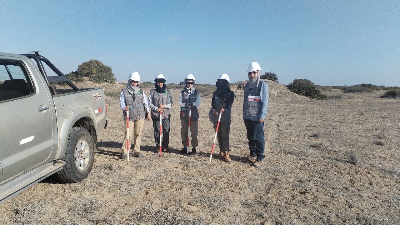 Descripción de la imagen